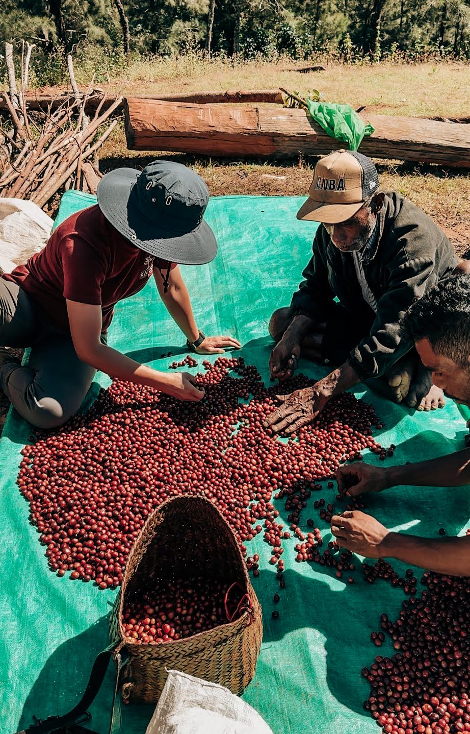 TIMOR-LESTE | ERATOI | WASHED