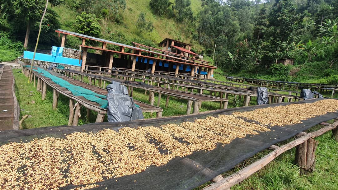 RWANDA IMPANO