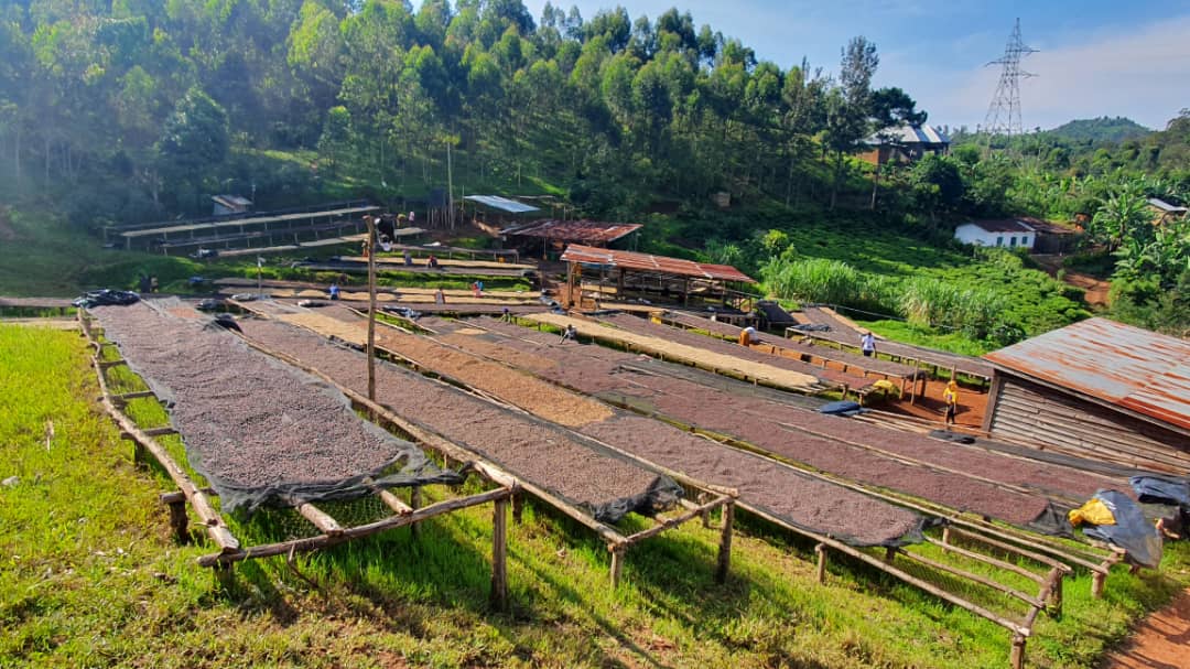 RWANDA IMPANO