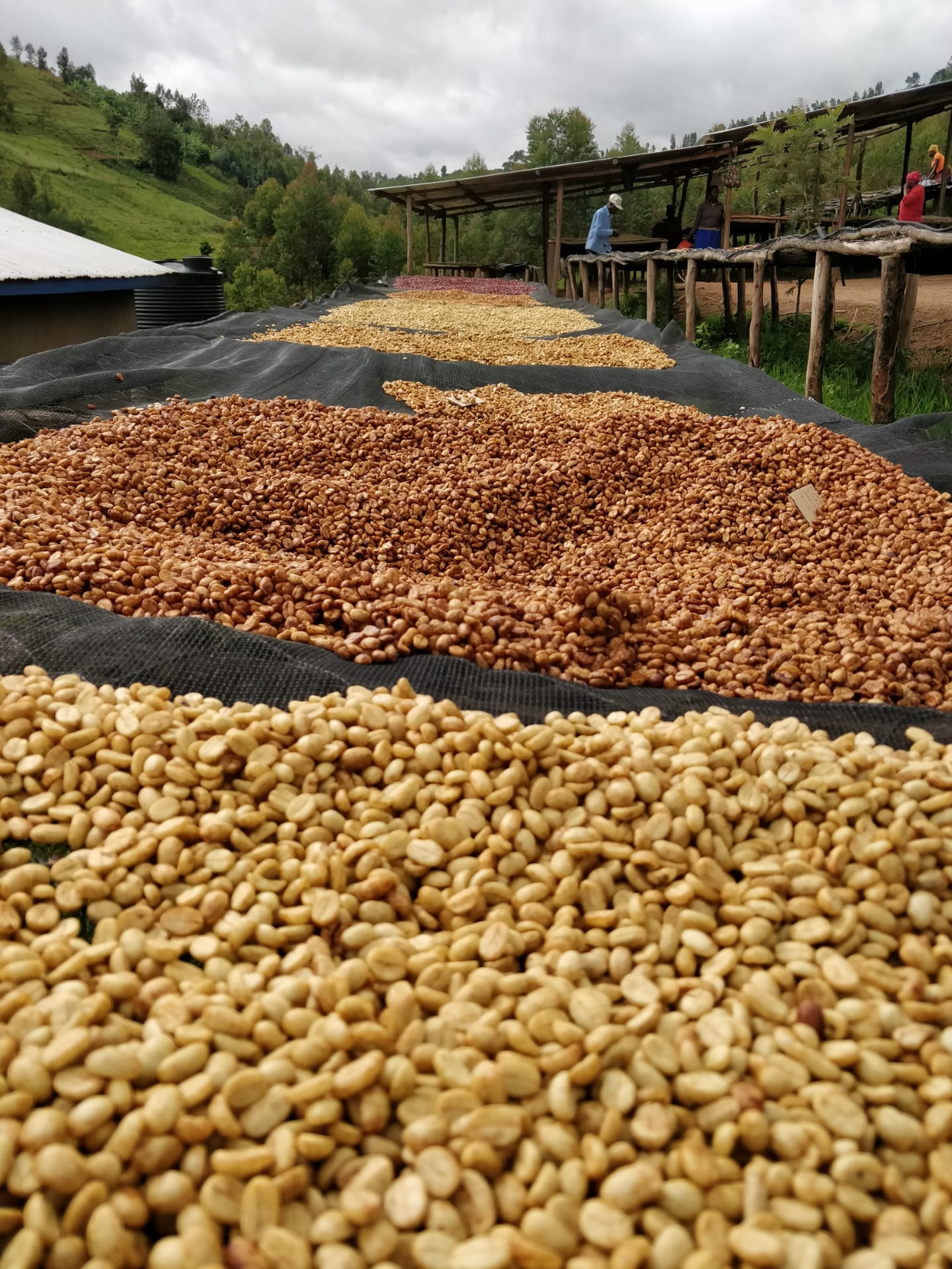 RWANDA IMPANO