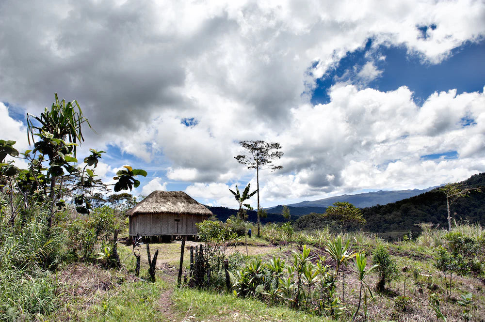 WAGHI VALLEY VILLAGE LOT