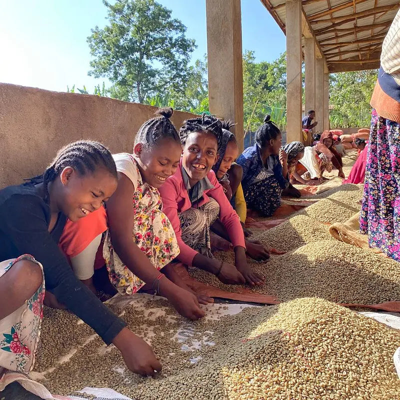 ETHIOPIA YIRGACHEFFE ETHIOCO COOP