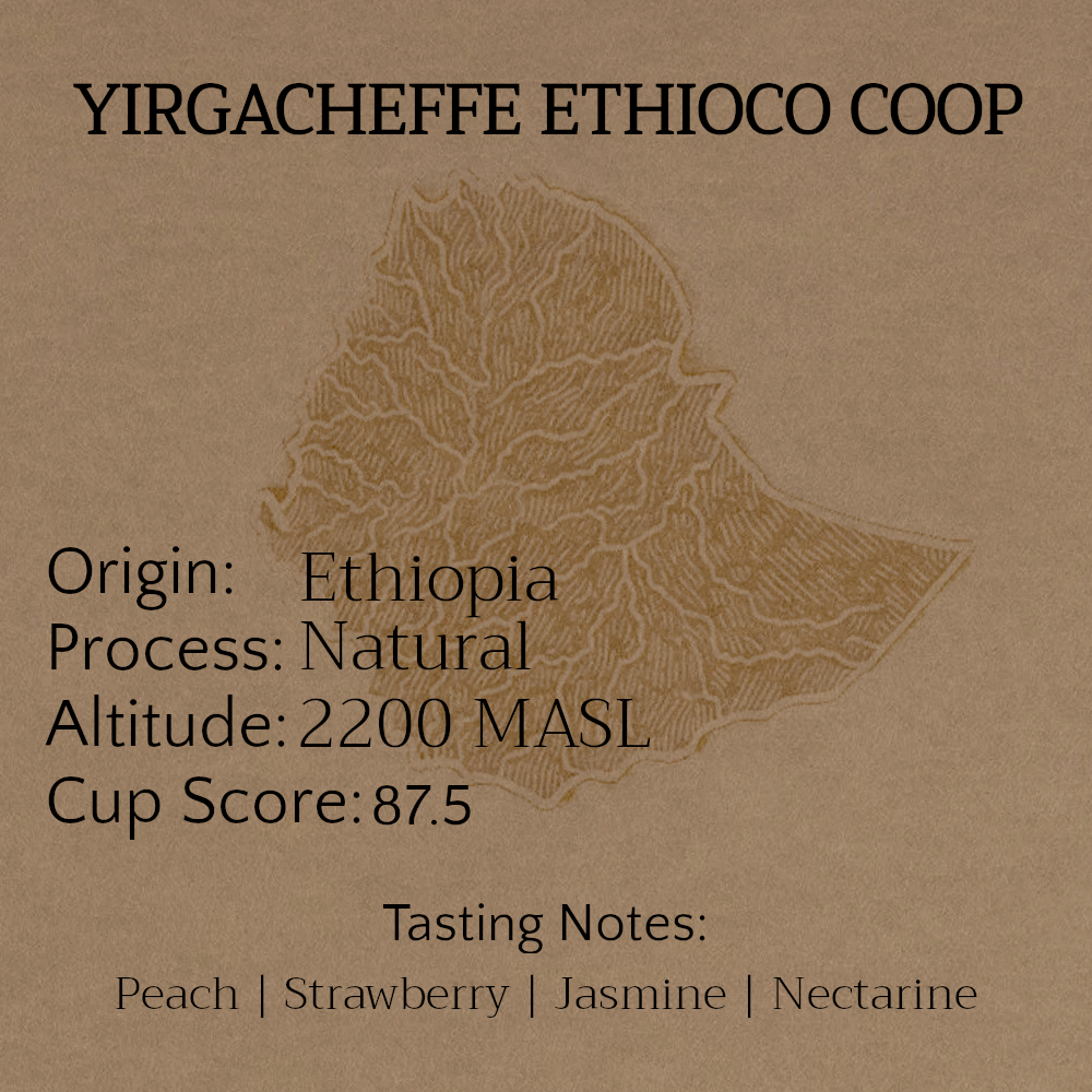 ETHIOPIA YIRGACHEFFE ETHIOCO COOP