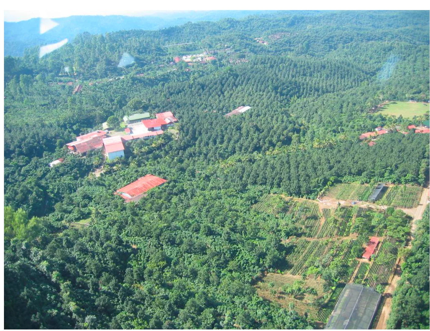 GUATEMALA CONEBOSQUE