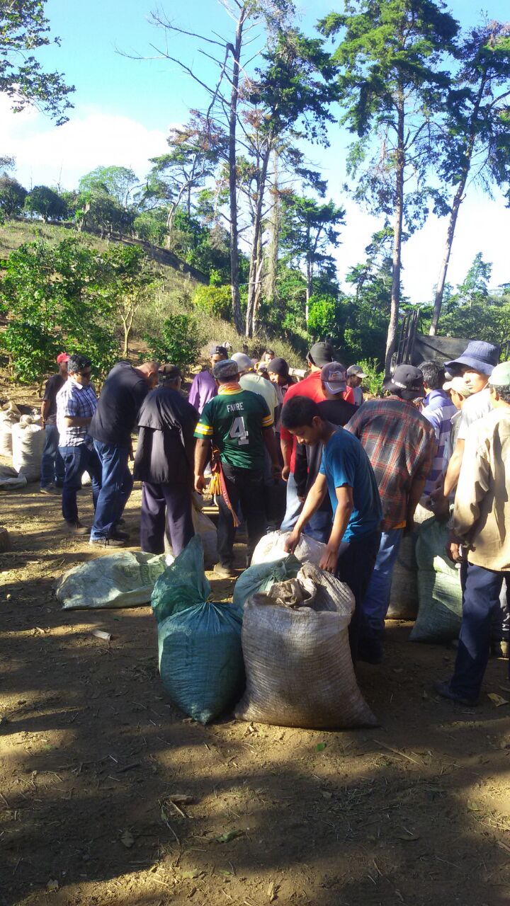 EL SALVADOR EL CIPRÉS