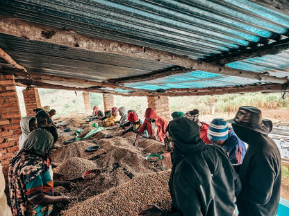 RWANDA | RWAMATAMU PEABERRY | RED BOURBON | WASHED