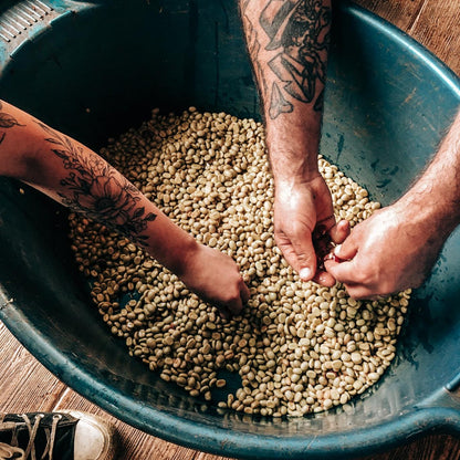 ECUADOR | MAKICUNA BLEND | WASHED & HONEY