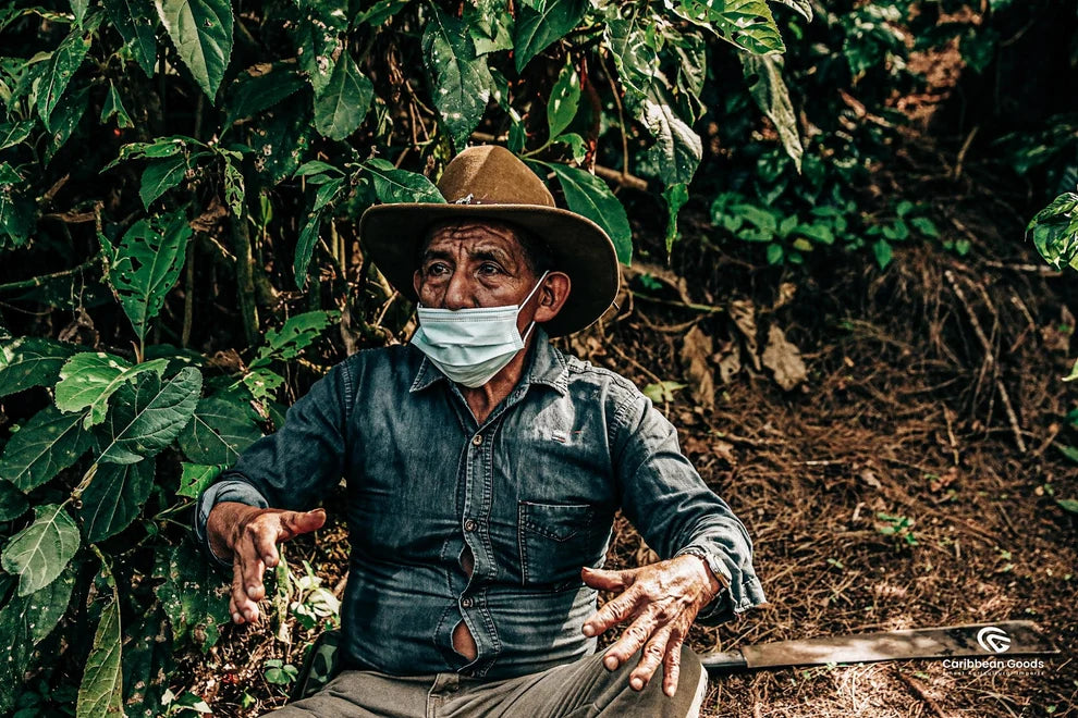 GUATEMALA | HUNBATZ | WASHED