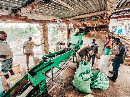 RWANDA | RWAMATAMU PEABERRY | RED BOURBON | WASHED