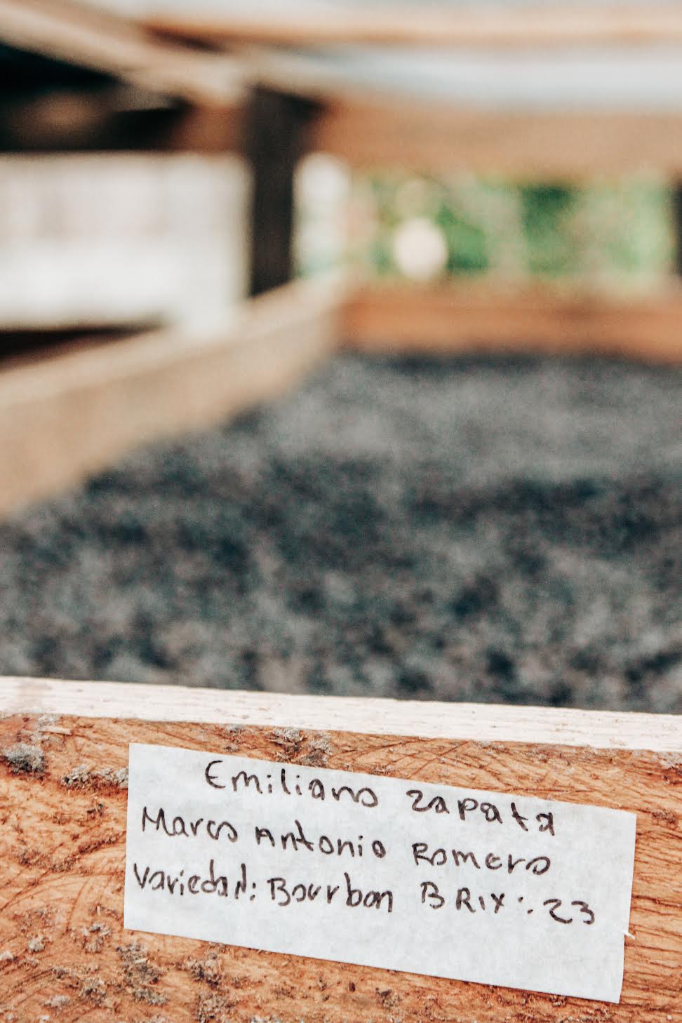 MEXICO MARCO ROMERO | RED BOURBON NATURAL