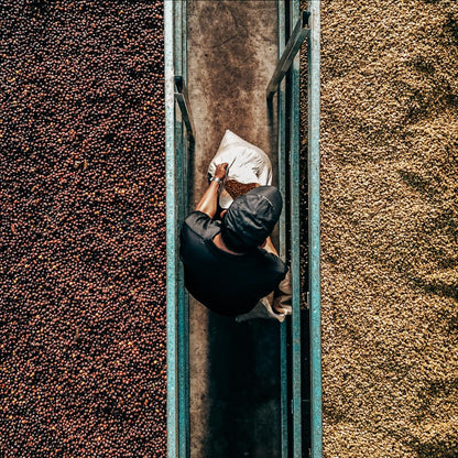 BAMBITO RED BOURBON | LIMITED EDITION 60g TIN