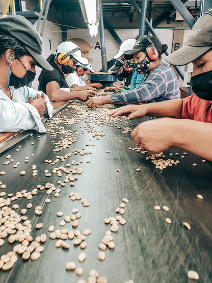 COLOMBIA WBP-00 CASTILLO | LIMITED EDITION 60g TIN