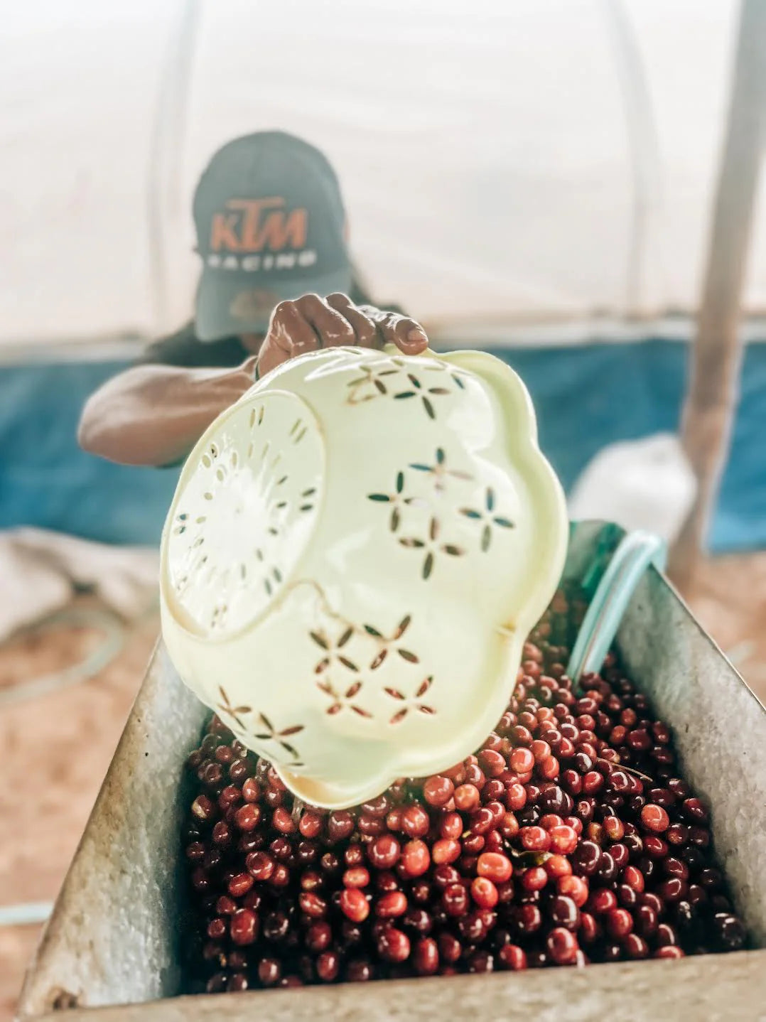 TIMOR-LESTE | ROTUTU