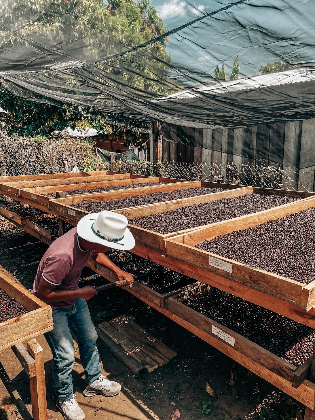 MEXICO MARCO ROMERO | RED BOURBON NATURAL