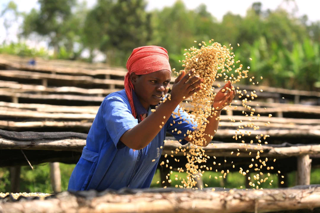 RWANDA IMPANO