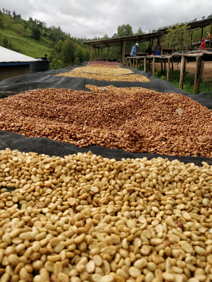 RWANDA IMPANO