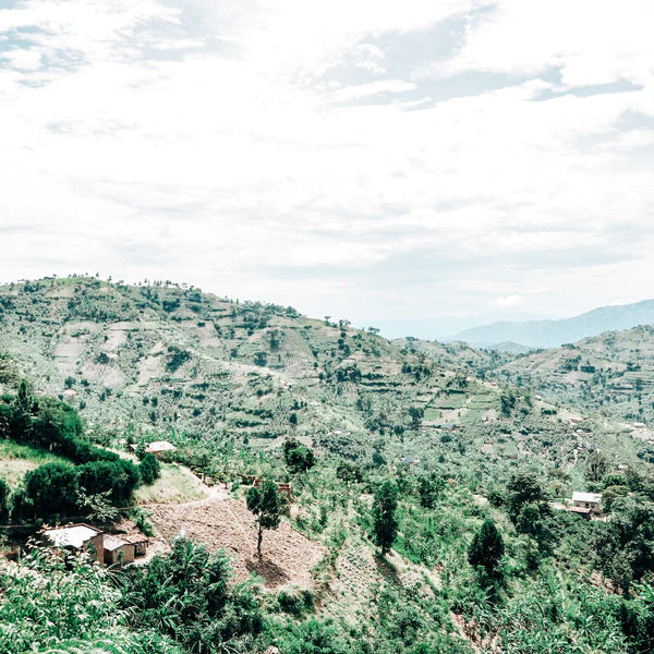 UGANDA AFRICAN MOON | NATURAL