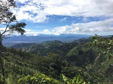 COLOMBIA HUILA EXCELSO