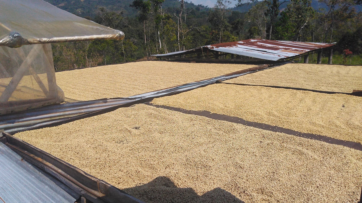 COLOMBIA HUILA EXCELSO