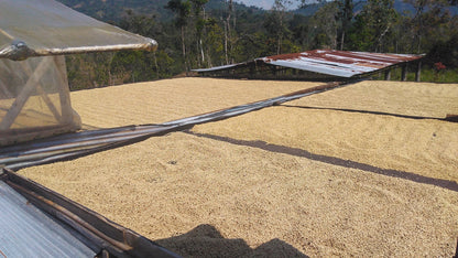 COLOMBIA HUILA EXCELSO