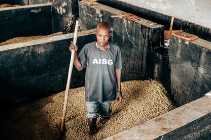 BURUNDI | RURONGE HILL LOT 62 | RED BOURBON | WASHED