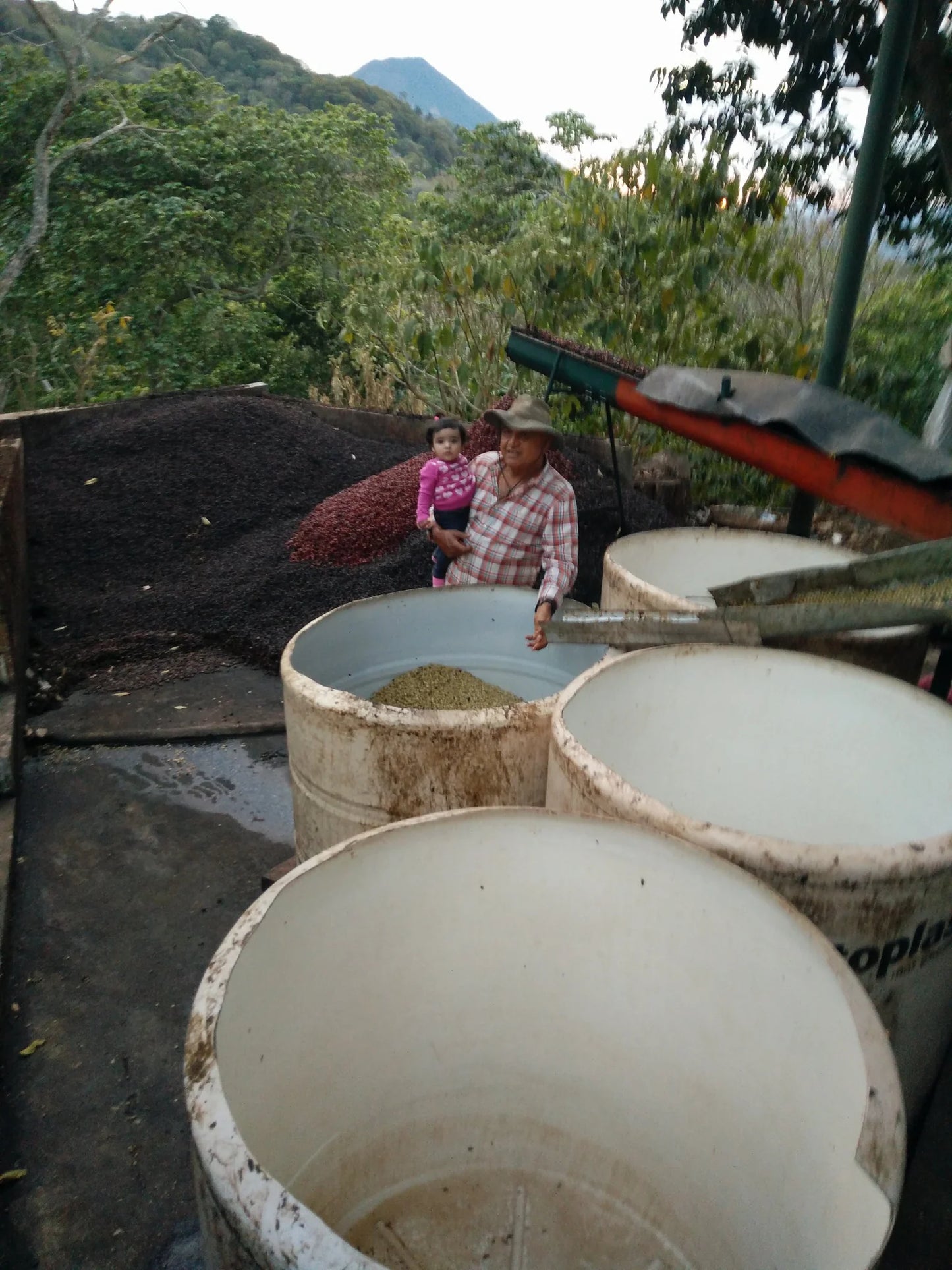 EL SALVADOR EL CIPRÉS