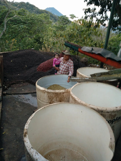 EL SALVADOR EL CIPRÉS