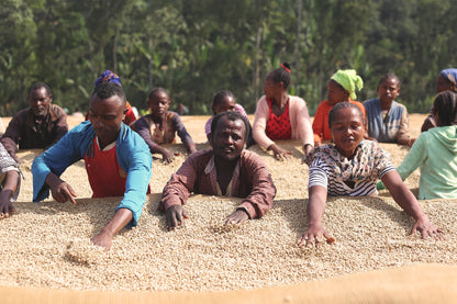 ETHIOPIA LIMU