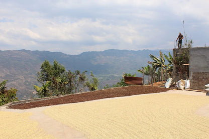 GUATEMALA CONEBOSQUE