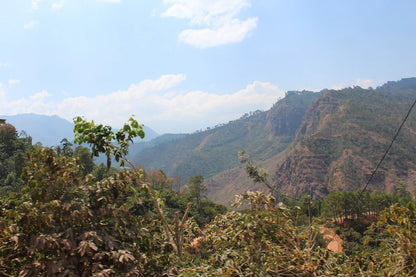 GUATEMALA CONEBOSQUE