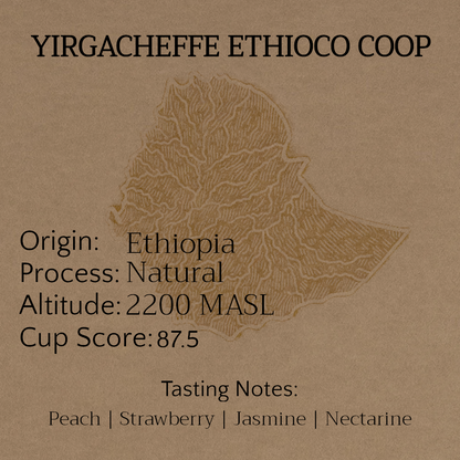 ETHIOPIA YIRGACHEFFE ETHIOCO COOP