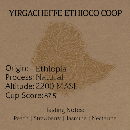 ETHIOPIA YIRGACHEFFE ETHIOCO COOP