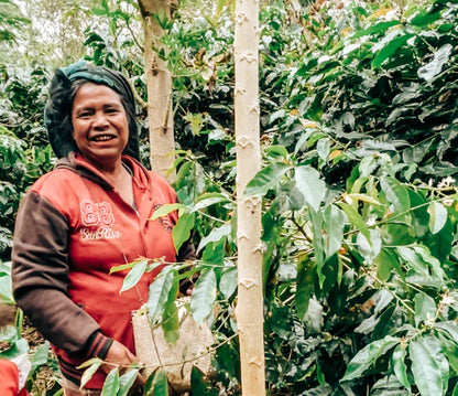 INDONESIA NOLA WONGA S795 | WASHED