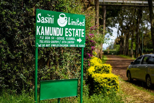 KENYA | AB KAMUNDU ESTATE | WASHED