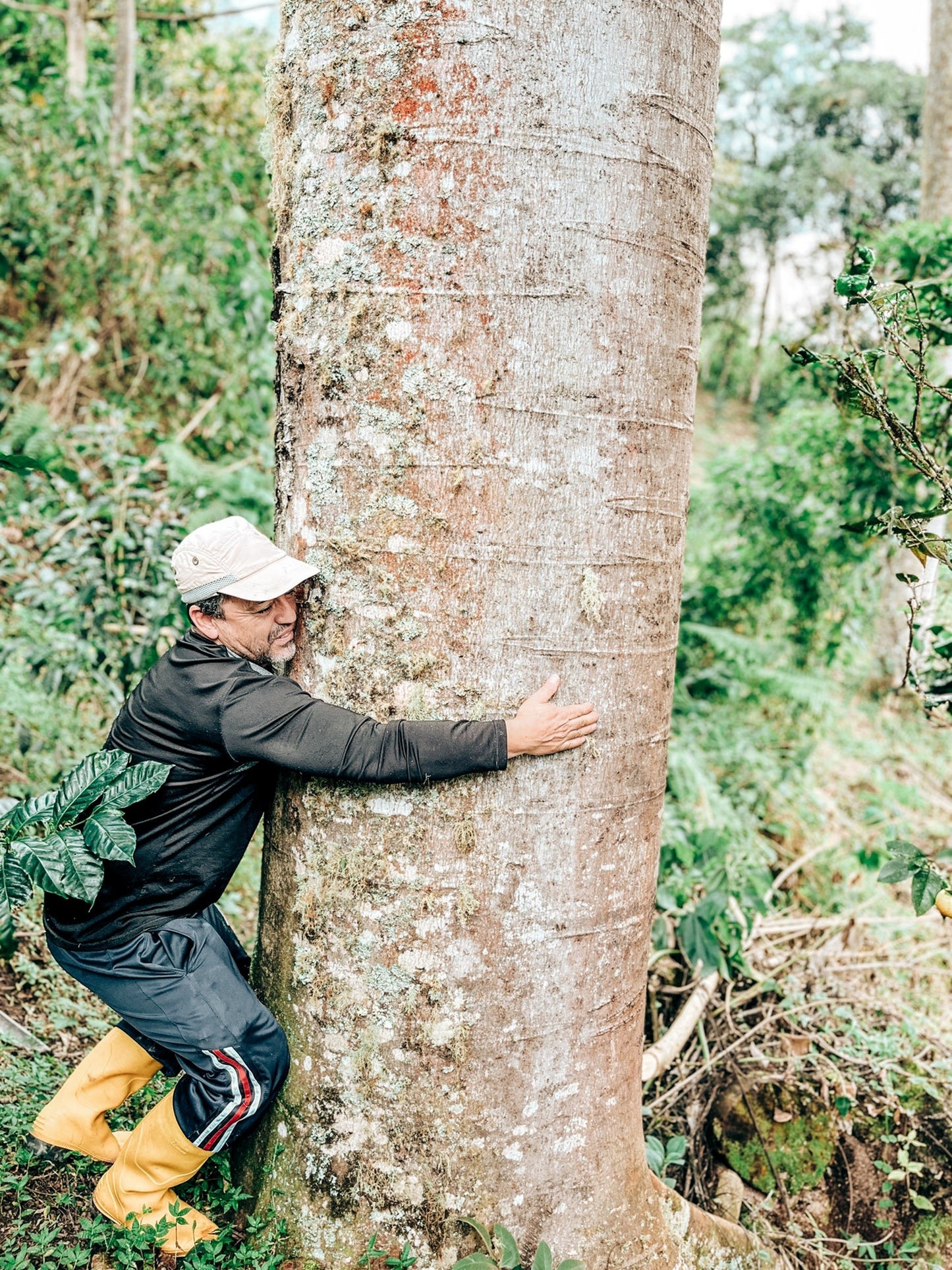 LA RESERVA WUSH WUSH | LIMITED EDITION 60g TIN