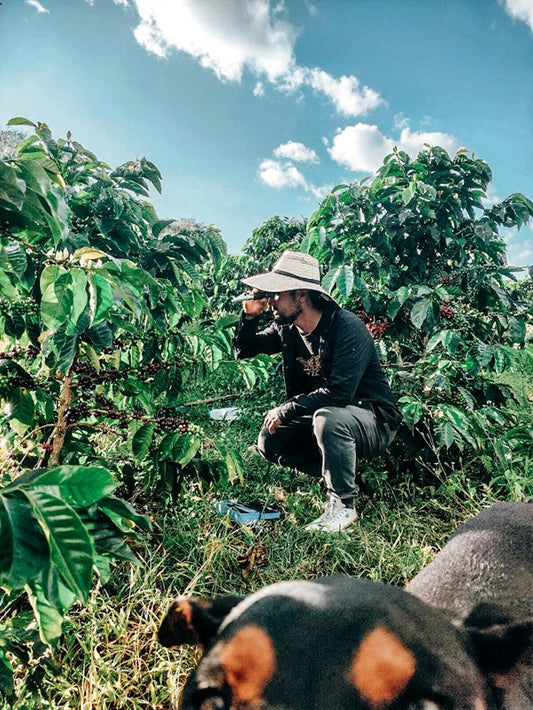 EDINSON ARGOTE LAURINA | LIMITED EDITION 60g TIN