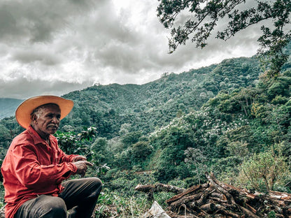 MEXICO PLAN LIBERTAD MARAGOGYPE | ROASTER’S CHOICE