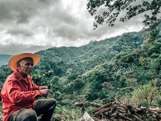 MEXICO PLAN LIBERTAD MARAGOGYPE | ROASTER’S CHOICE