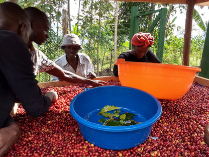 UGANDA MAGASI