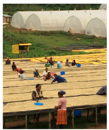 RWANDA IMPANO