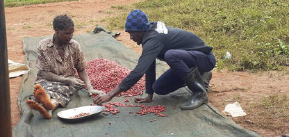 UGANDA MAGASI
