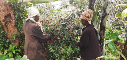UGANDA MAGASI