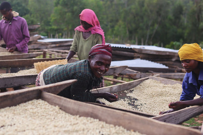 ETHIOPIA LIMU