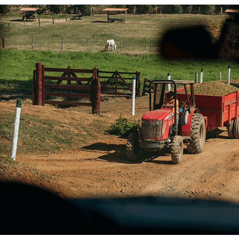 BRAZIL | FAZENDA SANTA ROSA | NATURAL