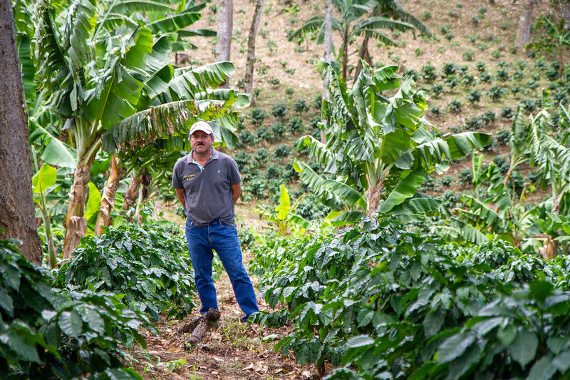 NICARAGUA LAS NARANJAS
