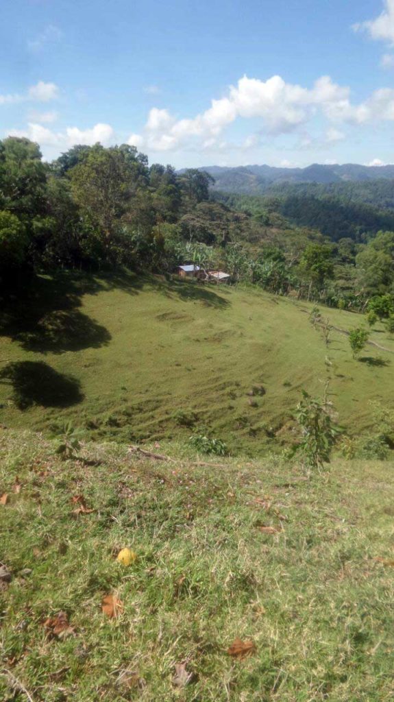 GUATEMALA CONEBOSQUE