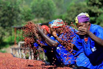 RWANDA IMPANO
