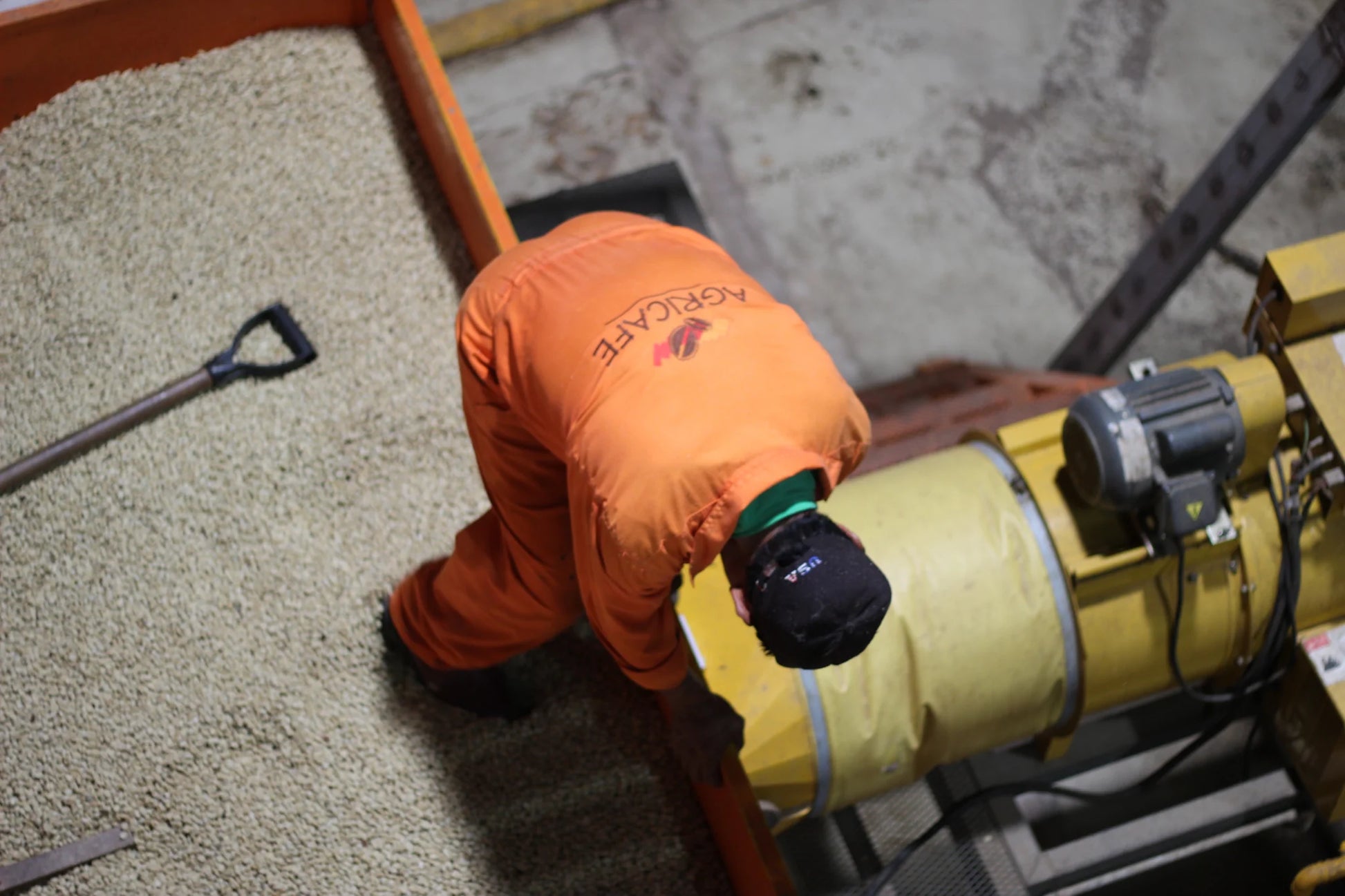 Worker handling parchment coffee at Buena Vista (Agricafe) mill, Caranavi, Bolivia.
