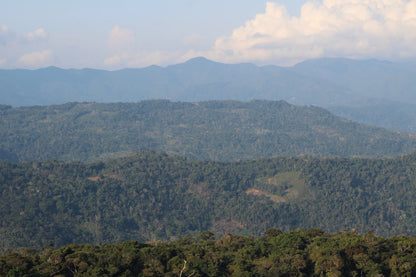 Forested slopes of the Yungas near Caranavi, Bolivia. The country’s coffee heartland.