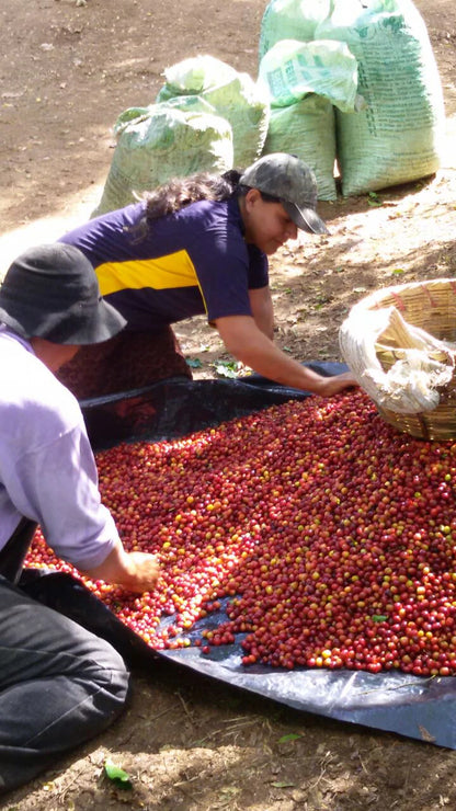 EL SALVADOR EL CIPRÉS
